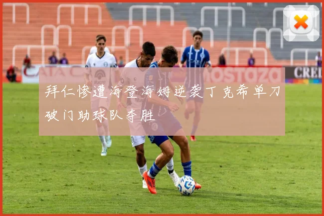 拜仁惨遭海登海姆逆袭丁克希单刀破门助球队夺胜